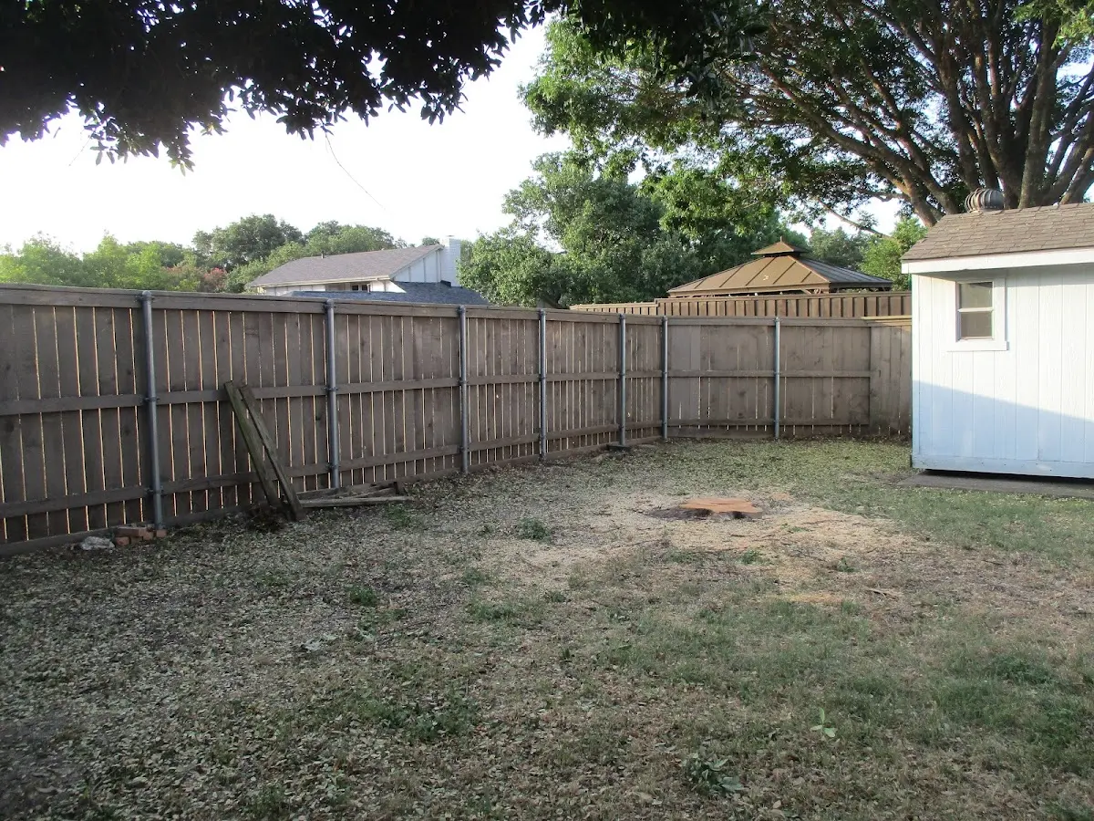Cleared yard after professional tree removal in Gormania